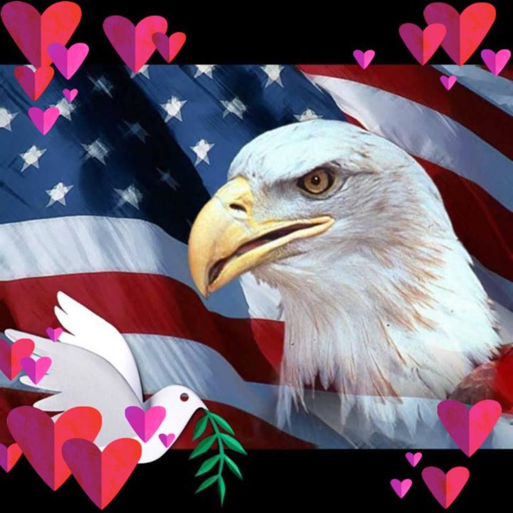 Meet your Posher, Vu